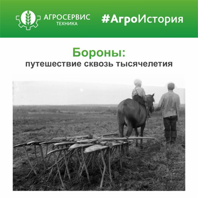 Бороны: путешествие сквозь тысячелетия
